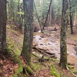 Meet your Posher, Terry